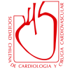 logo-sochicar-2 logo-sochicar-2